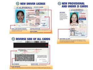 CA DMV drivers license samples